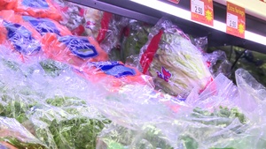 All Hands Update: Healthy Eating
