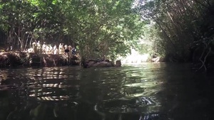 25th ID Jungle Operations Training Center