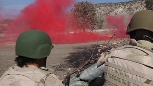 Peshmerga Culmination Exercise