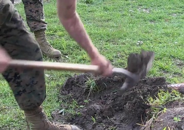 Mike Company Team Week