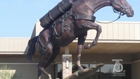 Unveiling of Staff Sgt Reckless Monument