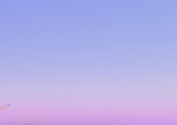 Vigilant Shield 2017