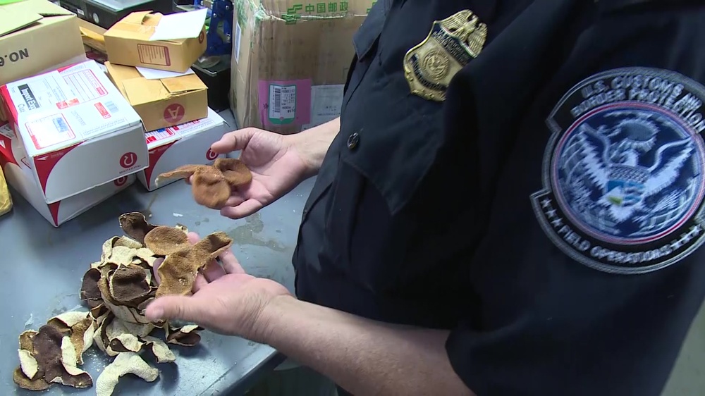 DVIDS - Video - Law Enforcement Agencies Collaborate on International Darknet Enforcement Operation