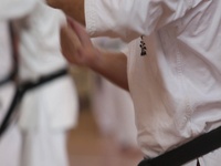 Together in Okinawa: Kenpo Seminar