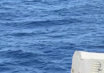 USS Carl Vinson Launches Two RAM Missiles