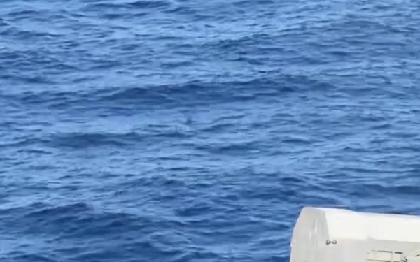 USS Carl Vinson Launches Two RAM Missiles