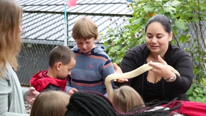 B-roll of Marine Corps Air Station Iwakuni residents holding white snakes and building a bridge