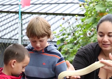 B-roll of Marine Corps Air Station Iwakuni residents holding white snakes and building a bridge