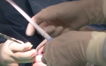 The MCAS Iwakuni dental staff talks about keeping your teeth clean during the holiday season