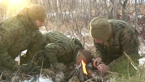 USMC Norway:  Cold Weather and Mountain Training 2016 Overview
