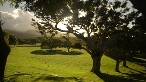 National Memorial Cemetery of the Pacific (Punchbowl) B-Roll
