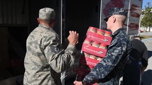Volunteering For Vets