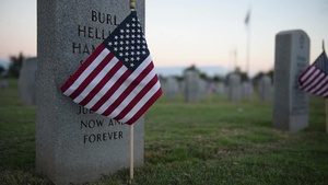 Why Is Veterans Day Important?