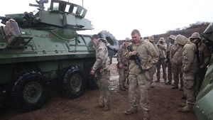(B-Roll) 1st Light Armored Reconnaissance Battalion joins forces with New Zealand to hone skills