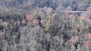 Wildfire Aftermath