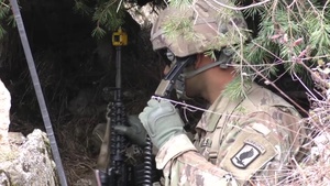 Exercise Mountain Shock 2016