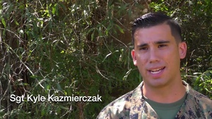 Strike Eagle News: Episode 71