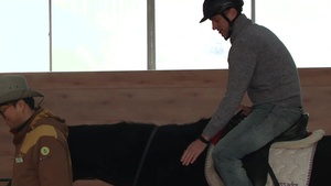 Horse Riding