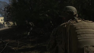 2nd Battalion, 6th Marine Regiment FEX II