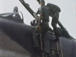 Wild Weasel History