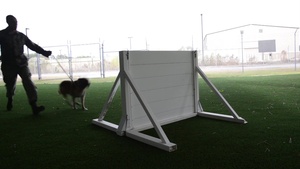 20 FW/CC Intent Video