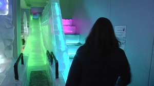 Ice Museum
