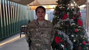 Capt. Rebecca Nolasco - Garland, Texas