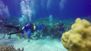 All Hands Update: Seabees 75th Anniversary