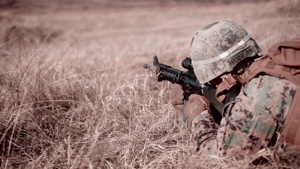 U.S. Marines in Bulgaria complete Exercise Platinum Lion
