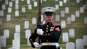 Honor Guard Honoring Tradition