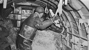 Operation Haylift Remembered
