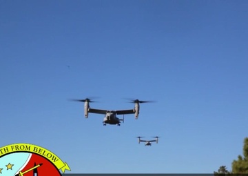 2d LAAD Bn. conducts field exercises aboard Marine Corps Outlying Field Atlantic