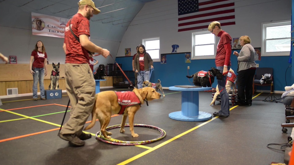 DVIDS - Video - Paws from the Heart: Caring Angels Therapy Dogs