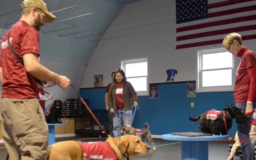 Paws from the Heart: Caring Angels Therapy Dogs