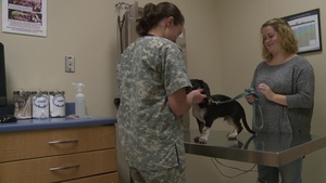 WPAFB Vet Clinic BRoll