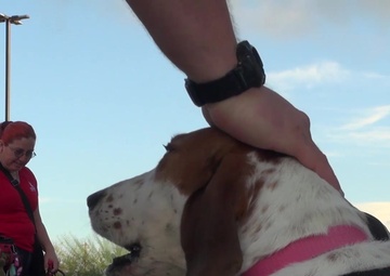 2016KLW-Huachuca-BCAT K Video Feature Report