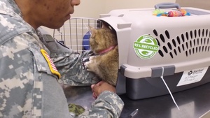 Wright-Patt Vet Clinic