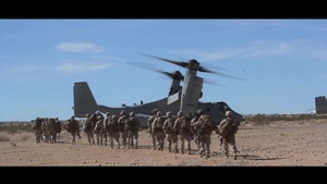 ITX 2-17: FINEX 1st Battalion, 7th Marines