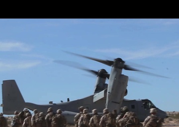 ITX 2-17: FINEX 1st Battalion, 7th Marines