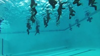 High Dive: U.S. Marine Recon and Japanese soldiers team up for Iron Fist 2017
