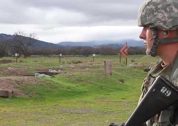 91-BWC-17 RANGE PRIME CUTS