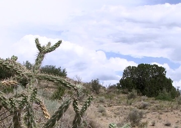 A Partnership for Success: An Update to the Kirtland AFB Bulk Fuels Facility Cleanup