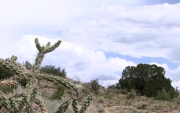 A Partnership for Success: An Update to the Kirtland AFB Bulk Fuels Facility Cleanup