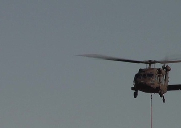 Bambi Bucket Training