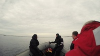 Search and Rescue Swimmer