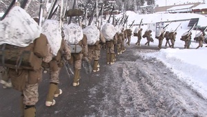 2nd Battalion, 2nd Marine Regiment movement to Grouse Meadows