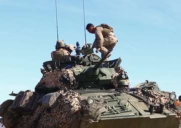 Why We Stay: 0313 LAV Crewman