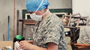Army Veterinarians