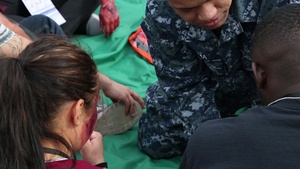 2017 mass casualty exercise
