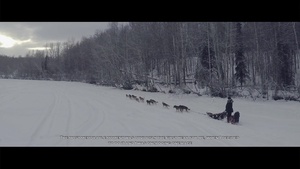 "The Last Great Race: A Lieutenant Colonel's Mushing Tale"